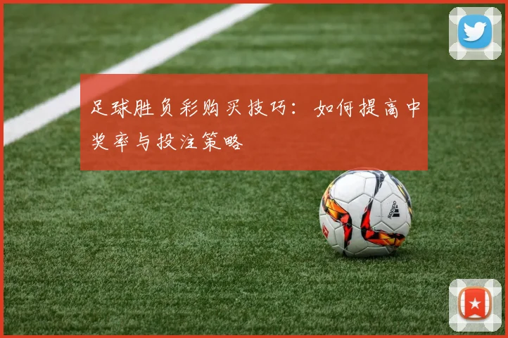 足球胜负彩购买技巧：如何提高中奖率与投注策略